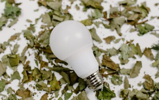 LEDpære